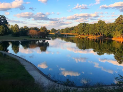 Finding Enlightenment in the Little&nbsp;Things