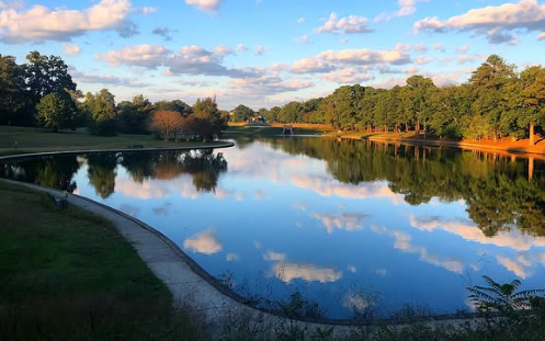 Finding Enlightenment in the Little&nbsp;Things