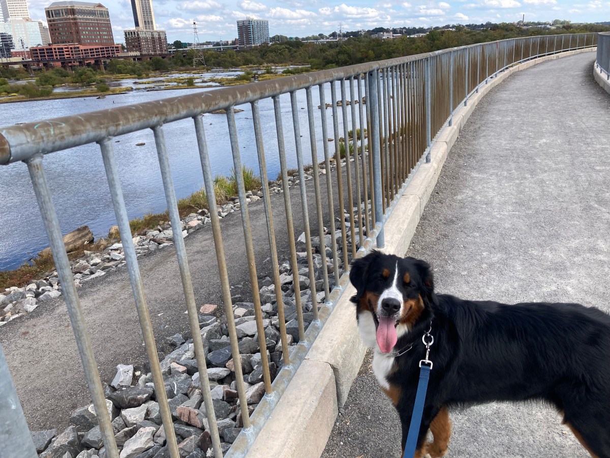 Nothing Changes if Nothing&nbsp;Changes