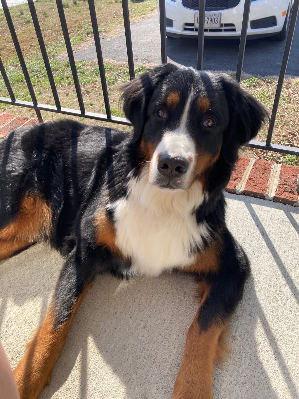 5 Things bringing me Joy this&nbsp;Week