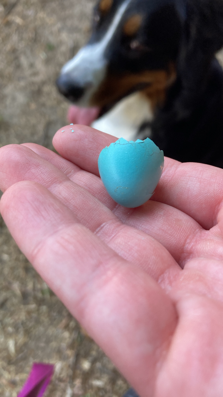 4 Things keeping me Alive this&nbsp;Spring